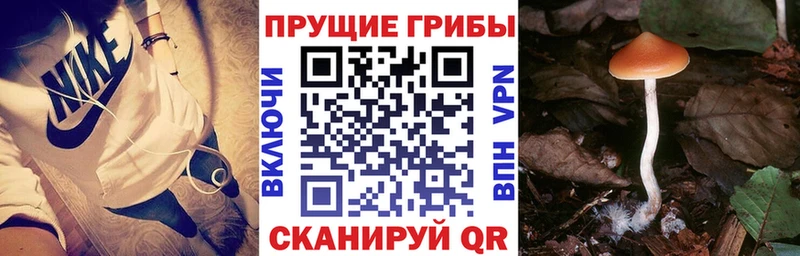 Галлюциногенные грибы мухоморы  Пустошка 